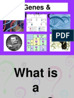 Genes and Inheritance Excl Pedigree