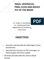 Anatomy of Meninges Ventricles Cerebrospinalfluid