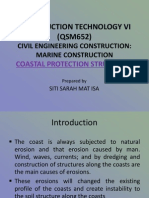 Coastal Protection Structures