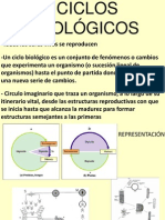 1.3 Ciclos Biologicos