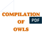 Owls Compilation