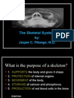 The Skeletal System: By: Jasper C. Pilongo, M.D