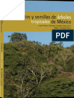 Frutos y Semillas de Arboles Tropicales de Mexico PDF