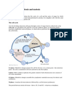 The Cell Cycle-TRF