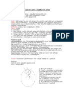 Examination of The Central Nervous System