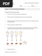 Chapter 16 Molecular Basis of Inheritance