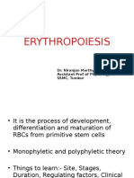 ERYTHROPOEISIS