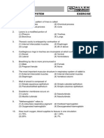 Exercise Respiratory System