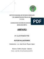 AMPARO AUTOEVALUACIONes