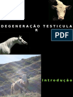 Degeneração Testicular