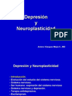 Depresión y Neuroplasticidad