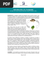 Introducción A La ACUAPONIA