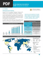 Cap 5 - 2 - Caso Ficosa