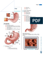 Resumen. Cáncer Gástrico