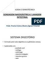 Aula Semiologia e Semiotécnica Lavagem Intestinal e SNG PDF