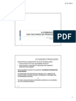 Combinacao Dos Factores de Producao 1