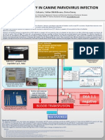 Parvovirus Infection Diagnostic and Therapy Diagnosticul Si Terapia in Infectii Cu Parvovirus La Caini Vaccinati.