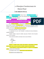 01.introdução e Princípios Constitucionais Do Direito Penal