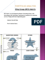 Corporate Portfolio Analysis