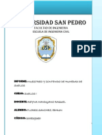 Universidad San Pedro