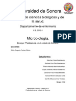 Pediculosis (Ensayo)