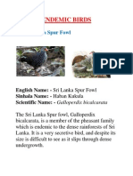 Endemic Birds