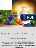 Apresentação - Enzimologia e Tecnologia Das Fermentações - Vinho