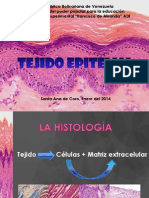 Diapositivas Tejido Epitelial - PPTX Mejoradas