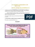 Pulsos de Control Energético