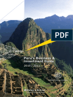 E&Y Peru White Paper