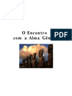 O Encontro Com A Alma Gemea