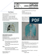 Anatomy: Lungs and Plurae