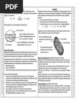 Photosynthesis and Respiration Notes 