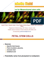 A Novel Source For Mesenchymal Stem Cells