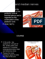 Radial and Median Nerves