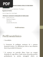 Perfil Neutrônico