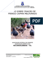 Curso Sobre Criação de Frangos