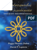 Entramados de Conciencia - Evolución Multidimensional