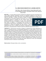 Drenagem Urbana, Processos Erosivos e Assoreamento