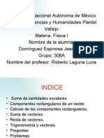 Cantidades Escalares y Vectoriales