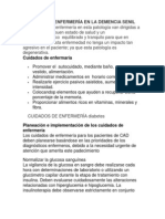 Cuidados de Enfermería en La Demencia Senil