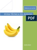 fICHa Tecnica Del Platano