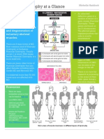 Muscular Dystrophy Fact Sheet