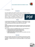 Exploración Del Aparato Digestivo en Perros y Gatos