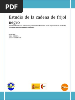 Informe Borrador Cadena Del Frijol Negro