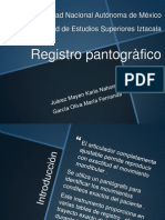 Registro Pantografico