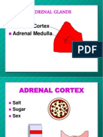 Adrenal Glands: Adrenal Cortex Adrenal Medulla