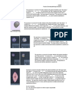 Gross Pathology Skin Dictations