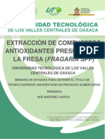 Extraccion de Compuestos Antioxidantes en La Fresa - Noe Martinez Garcia - TB-701