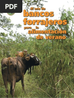 Forraje Ganado Lechero (Leucaena-Madero Negro-Marango)